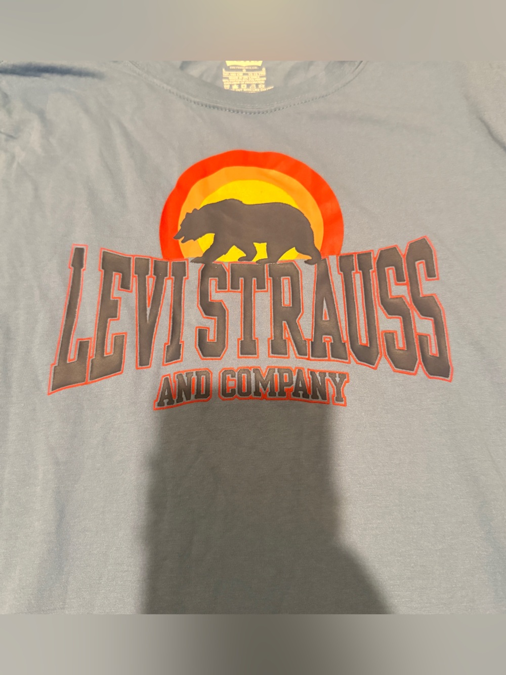 Leviās Boys California Bear Graphic Tee Blue